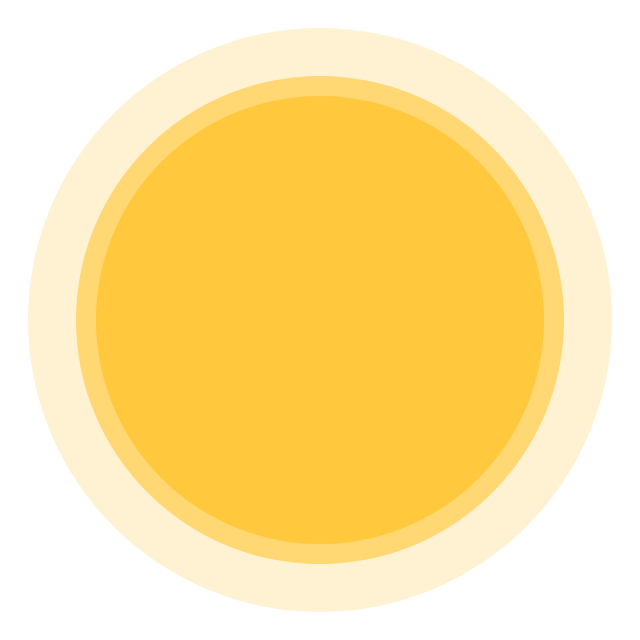 Sunny
